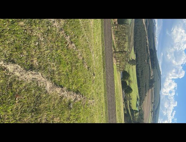 LAND FOR SALE IN DARGLE